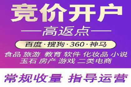 百度联盟推广网络覆盖的案例研究